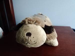 IMG20131201102853