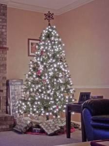 HDR Low Light
