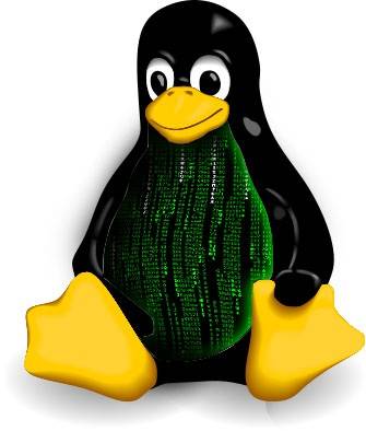 Video Tutorial Shows You How to Add Some Features to Your Kernel