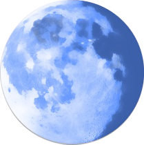 Pale Moon Browser