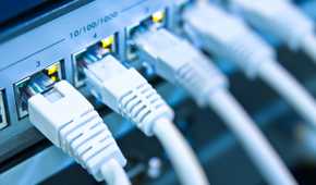 network cables connected to switch