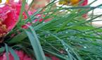 IMG_20160124_172901