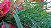 IMG_20160124_172901