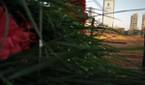 IMG_20160124_173116