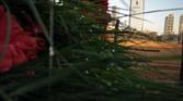 IMG_20160124_173116
