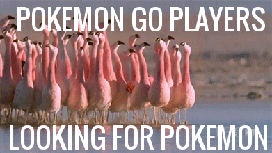 Pokémon GO