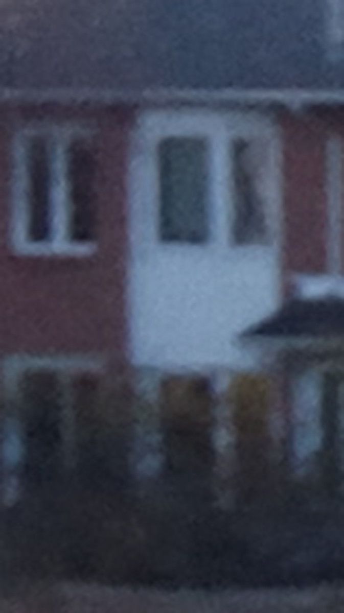 13 MP Cropped Image 1