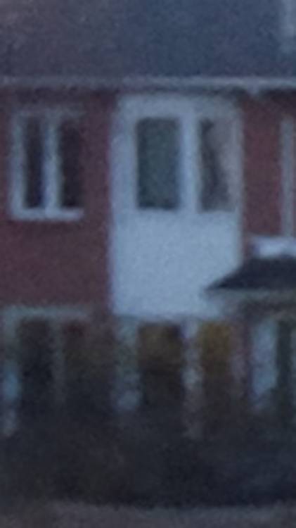 13 MP Cropped Image 1