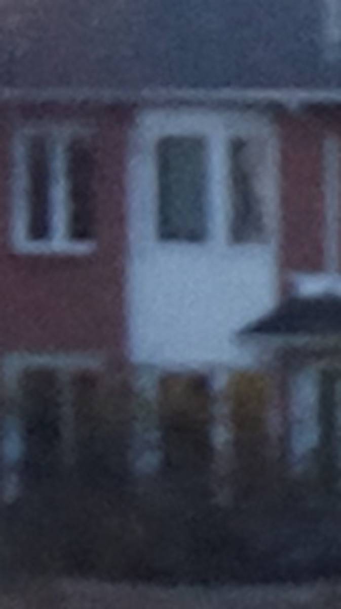 13 MP Cropped Image 1
