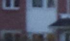 13 MP Cropped Image 1