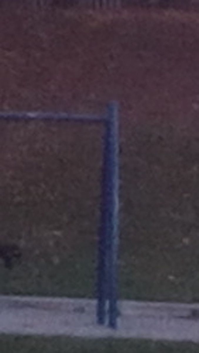 13 MP Cropped Image 2