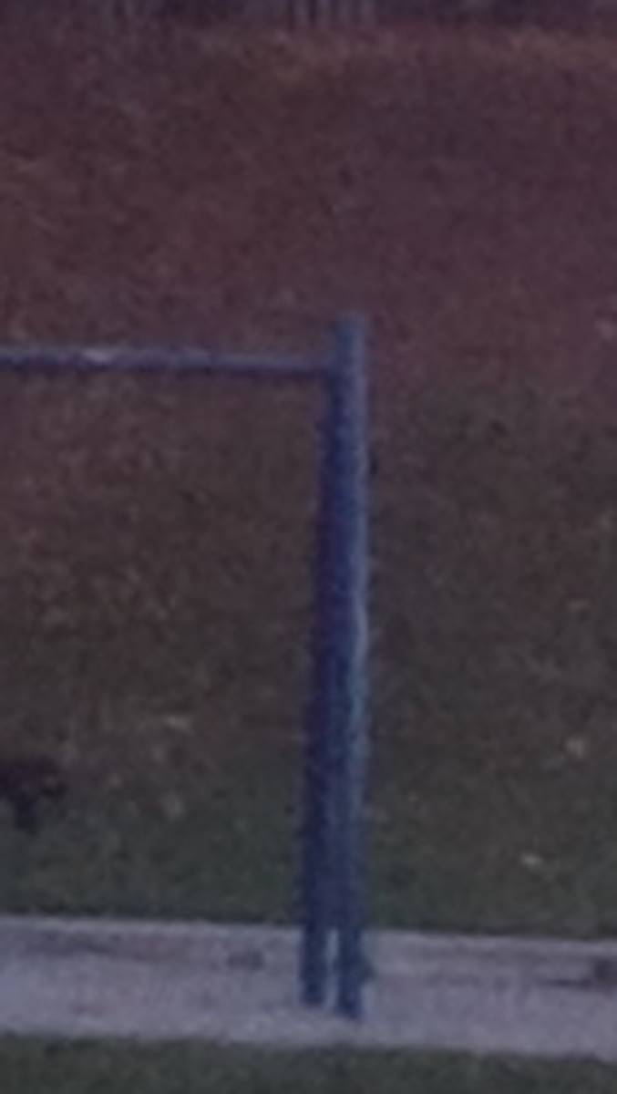 13 MP Cropped Image 2