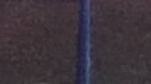 13 MP Cropped Image 2