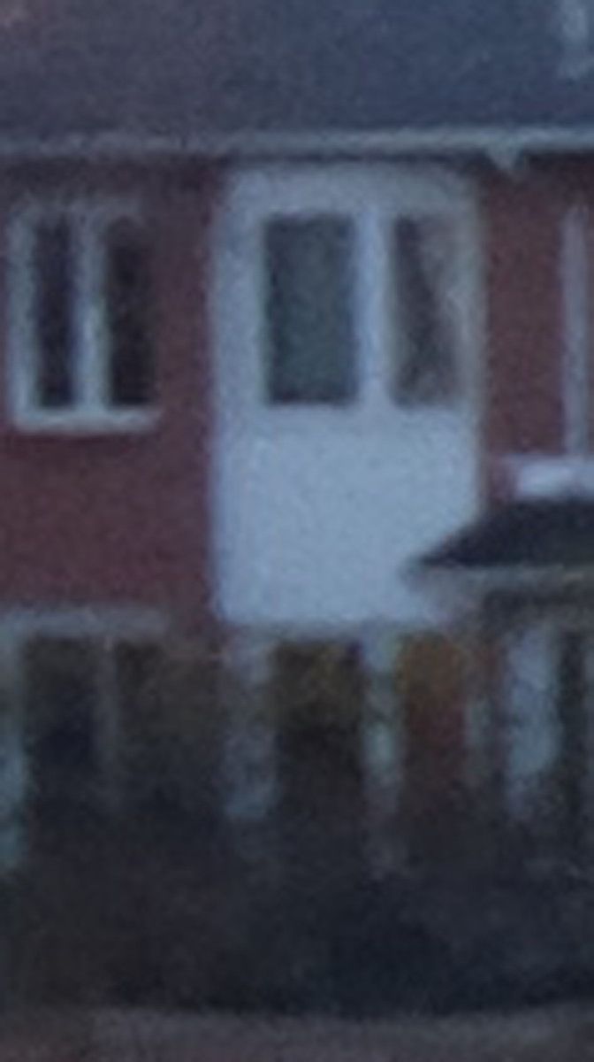 8 MP Cropped Image 1