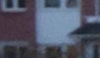 8 MP Cropped Image 1