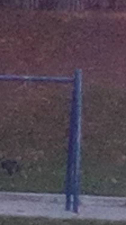 8 MP Cropped Image 2
