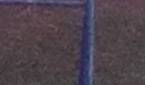 8 MP Cropped Image 2