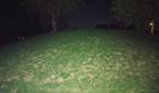 Flash Test HTC 10 With Flash