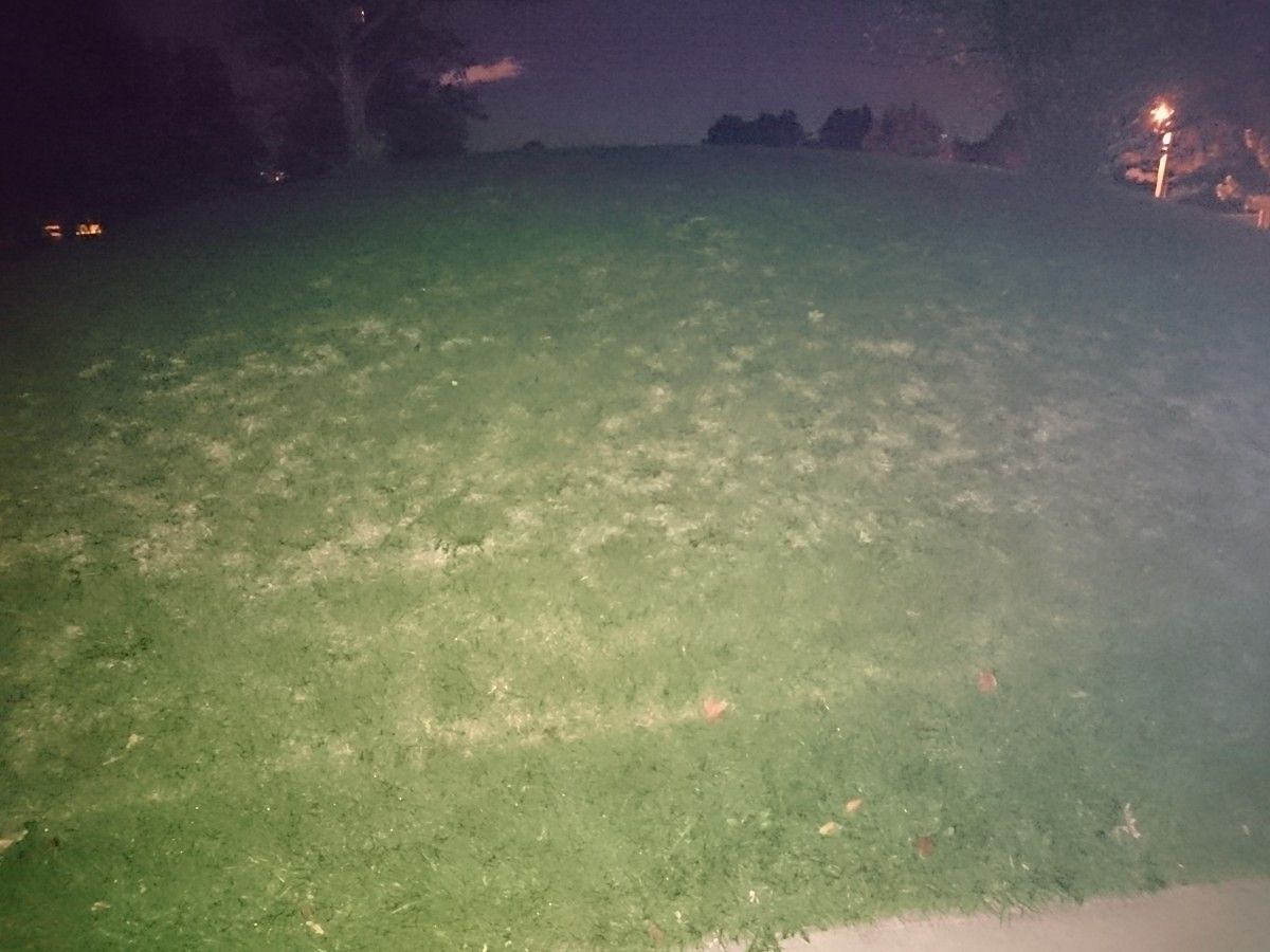 Flash Test Sony Xperia Z3