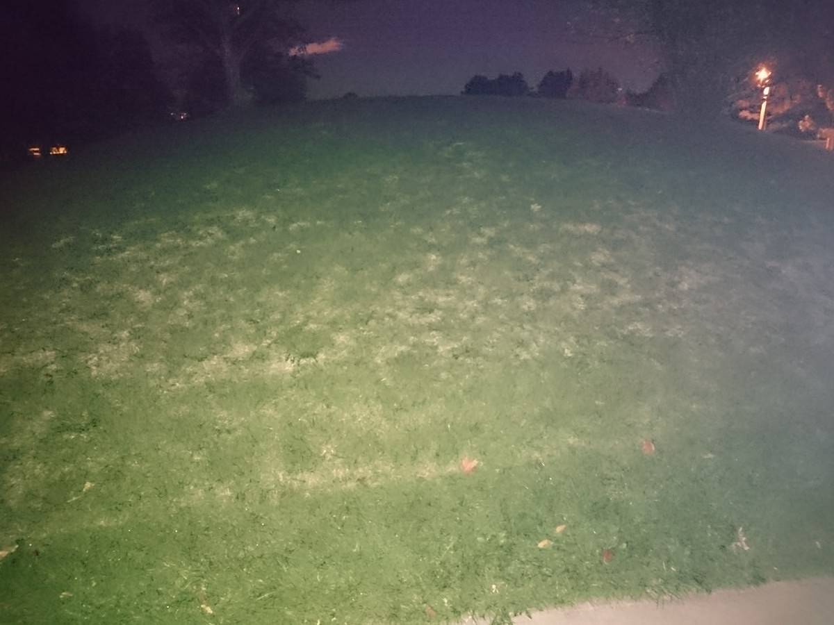 Flash Test Sony Xperia Z3
