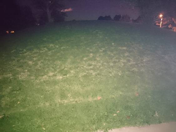 Flash Test Sony Xperia Z3