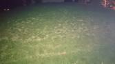 Flash Test Sony Xperia Z3