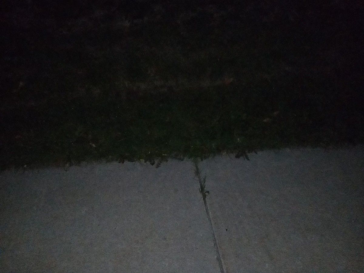 Flash Test Ulefone Metal Ground in Front of My Feet
