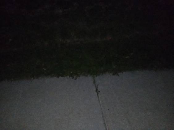 Flash Test Ulefone Metal Ground in Front of My Feet