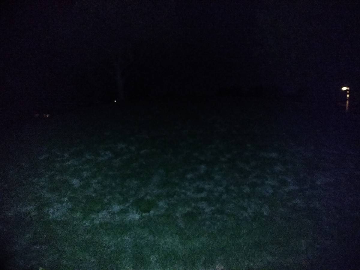 Flash Test ZTE ZMax Pro