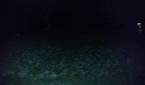 Flash Test ZTE ZMax Pro