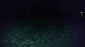 Flash Test ZTE ZMax Pro