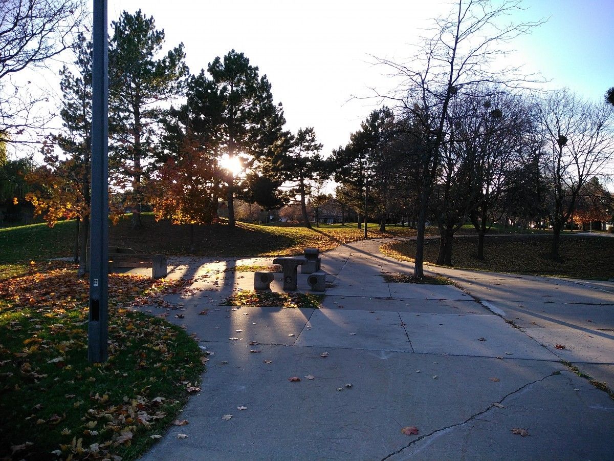 Picture 5 ZTE ZMax Pro