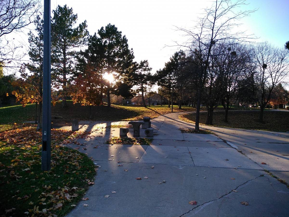 Picture 5 ZTE ZMax Pro