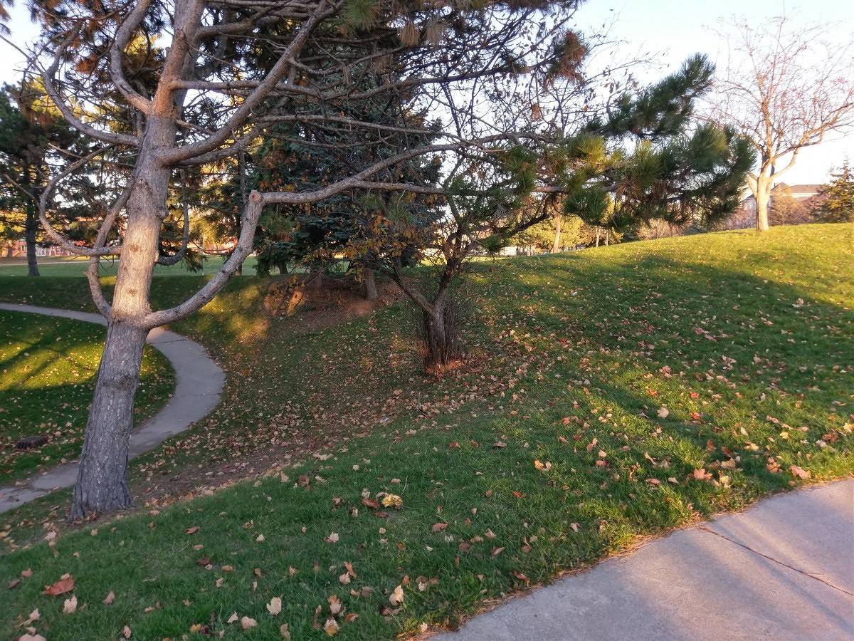Picture 6 HTC 10 HDR