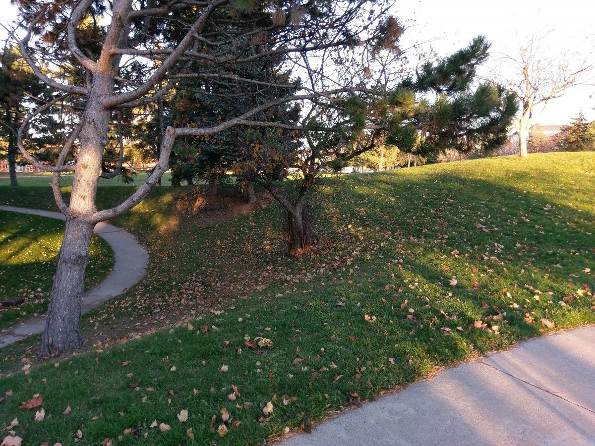 Picture 6 HTC 10