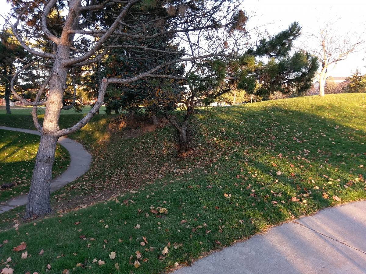 Picture 6 HTC 10