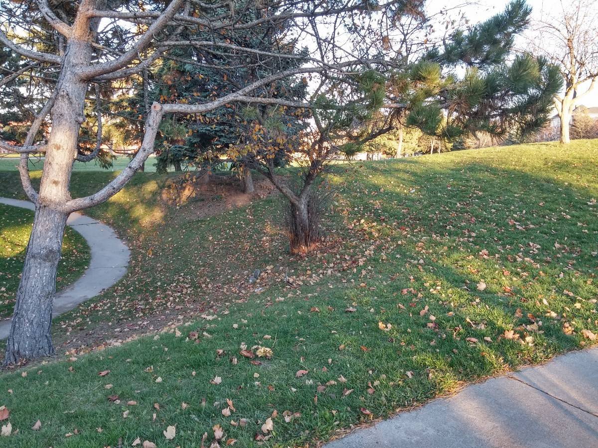 Picture 6 LG G2 HDR