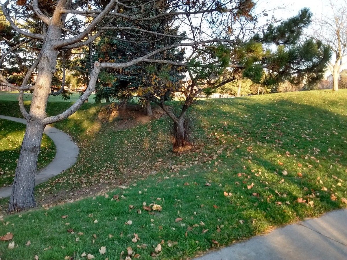 Picture 6 Moto E HDR