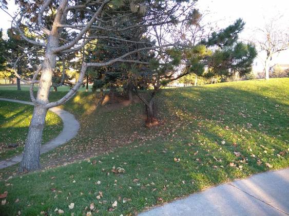 Picture 6 ZTE ZMax Pro HDR
