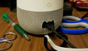 Google Home Ethernet
