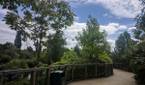 Google Camera HDR+ Zero Shutter Lag