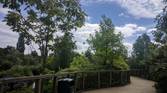 Google Camera HDR+ Zero Shutter Lag