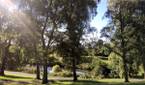 Google Camera HDR+ Zero Shutter Lag