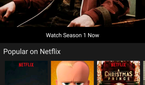 Netflix UI