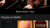 Netflix UI