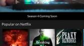 Netflix UI