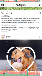 Xiaomi Mi Note 2 Frame Time Screenshot