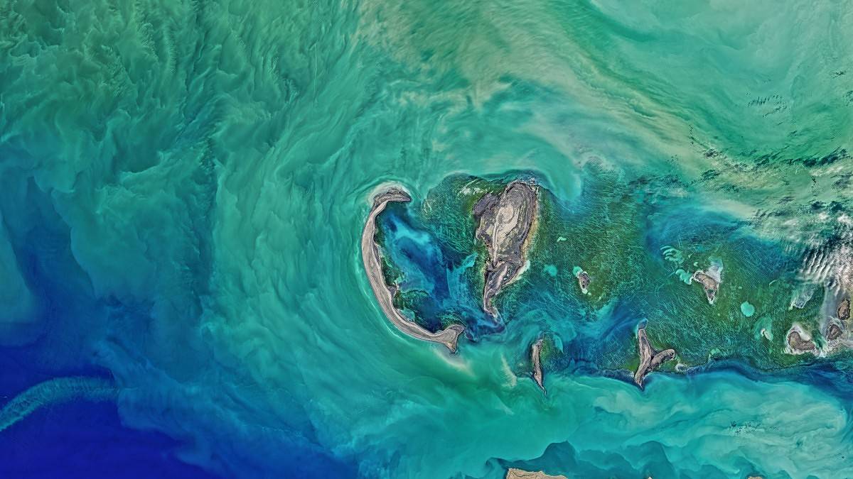 LineageOS 15.1 Wallpaper