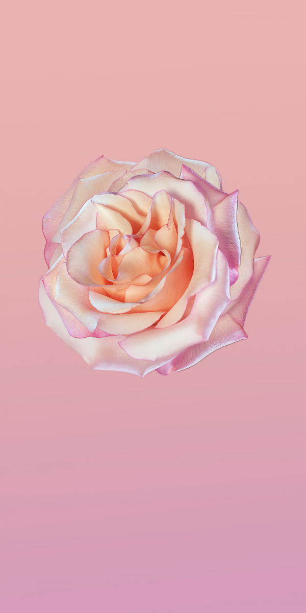Huawei P20 Stock Wallpaper
