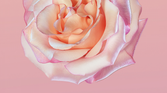 Huawei P20 Stock Wallpaper